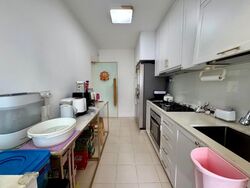 Blk 477A Hougang Capeview (Hougang), HDB 4 Rooms #588734011